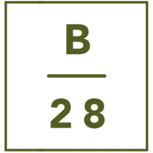 Logo-B28_1x1